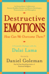2014-12-15 The intelligent approach to violent behaviour. Book review, Destructive Emotions.