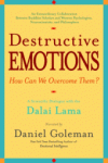2014-12-15 The intelligent approach to violent behaviour. Book review, Destructive Emotions.