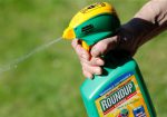2019-09-04  Bayer’s Roundup Woes Deepen as Germany Bans Key Chemical,  Wall Street Journal