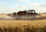 2019-05-15 Sask. farmer leads class action glyphosate lawsuit (vs Monsanto-Bayer Roundup)
